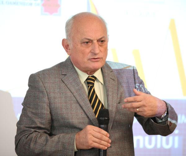 Mihai Ionescu, ANEIR