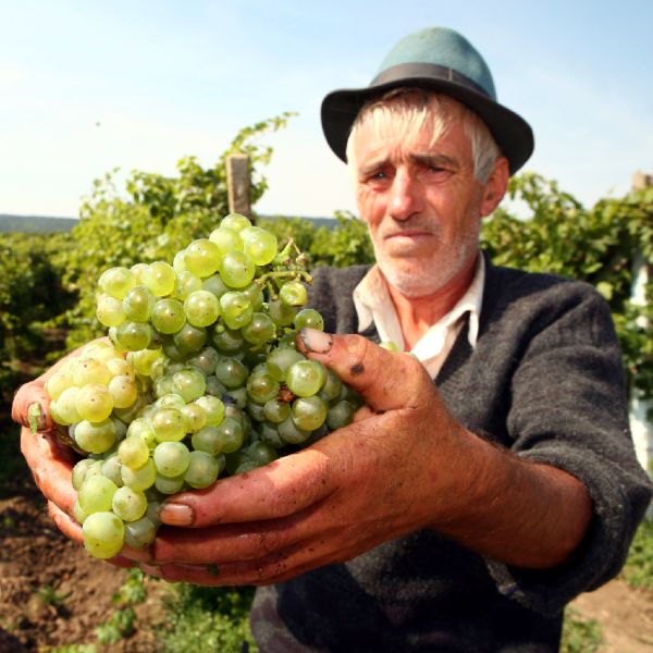 "30% dintre muncitorii români au fost plătiţi, anul trecut, cu salariul minim"