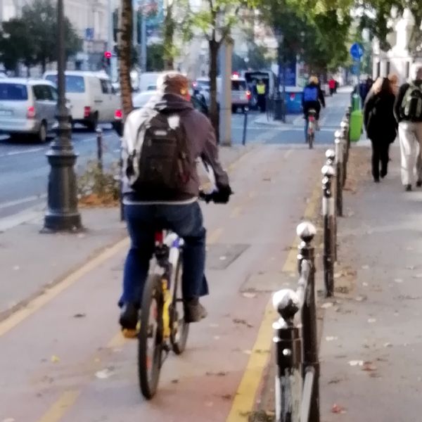 Coloanele oficiale, bicicliştii şi chinezii