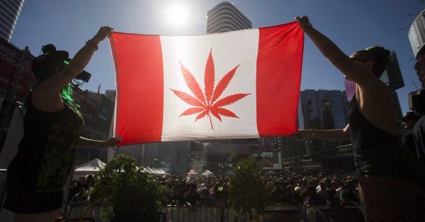 Canada legalizează canabisul după un secol de prohibiţie