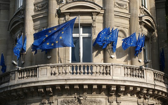 Drepturile şi libertăţile fundamentale, priorităţile noastre pentru preşedinţia Consiliului UE