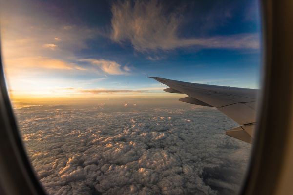 IATA mizează pe creşterea profiturilor companiilor aeriene