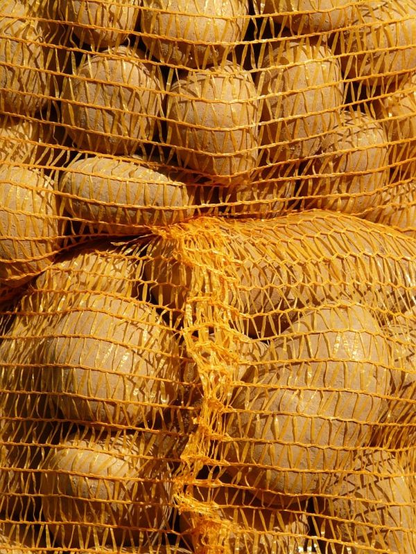 Preşedintele Belarus, încărcat cu "saci de cadouri" pentru Putin
