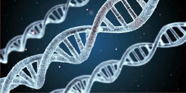 Nebunia ştiinţei: bebeluşi modificaţi genetic