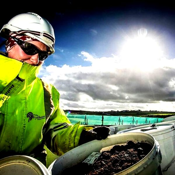 Hitachi îngheaţă un proiect nuclear din Marea Britanie