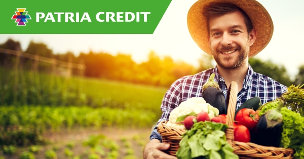 Patria Credit IFN, profit net de 900 mii euro