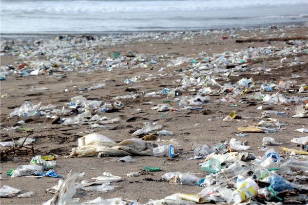 Plasticul, blestemul Oceanului Planetar