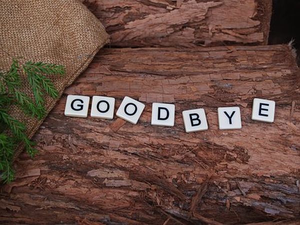 Mirabela Amarandei şi-a dat demisia din funcţia de coordonator PLUS