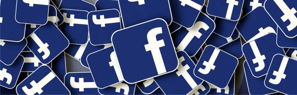 "Cuiburi" de infracţionalitate informatică pe Facebook