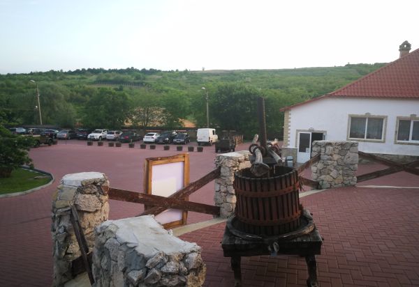 Vinurile moldoveneşti de la Asconi au intrat şi în ţara noastră