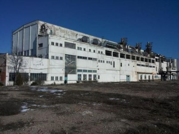 Dedeman, ultimii paşi către preluarea platformei Letea SA Bacău