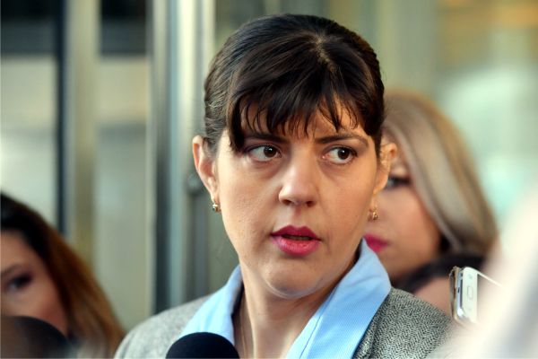 Fundaţia Băncii Erste are preocupări politice