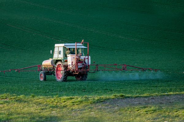 Pesticidele, motiv de controversă între Uniunea Europeană şi "restul lumii"