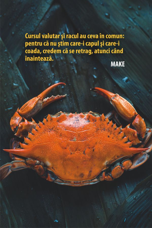 "Curs de schimb de 5 lei/euro, doar după prezidenţiale"