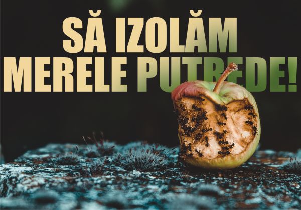 Multinaţionalele se adaptează la corupţia noastră sau pur şi simplu ne-o aduc?