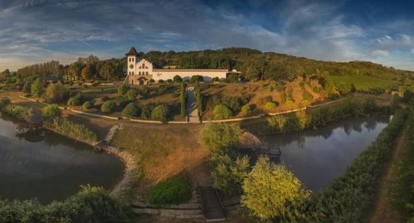 Purcari Wineries anunţă venituri în creştere cu 25% 