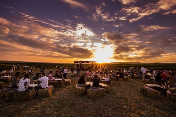 Tohani România organizează a treia ediţie MAUVE - Wine Experience