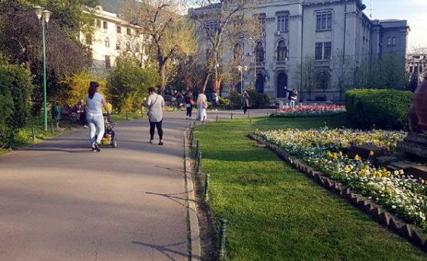 Nicuşor Dan şi Gabriela Firea se ameninţă cu instanţa în cazul Parcului Cişmigiu