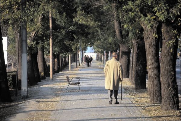 Activele fondurilor de pensii private au depăşit 12 miliarde de euro
