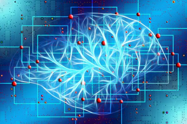 Inteligenţa Artificială "priveşte" direct în inima pacientului