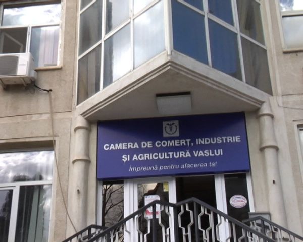  Şase companii din judeţ, clasate pe locul I în topul naţional al firmelor