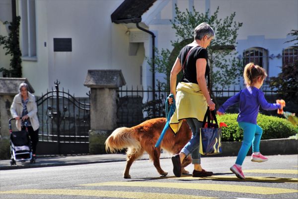 Statistica e necruţătoare: se accentuează fenomenul de îmbătrânire demografică