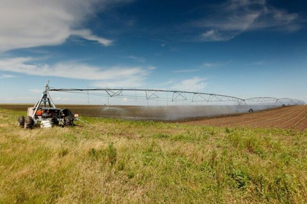 Clubul Fermierilor Români a lansat programul "Tineri Lideri pentru Agricultură"