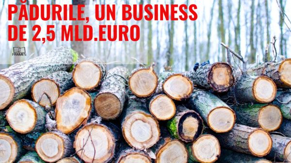 Pădurile Românei - un business de peste 2,5 miliarde de euro