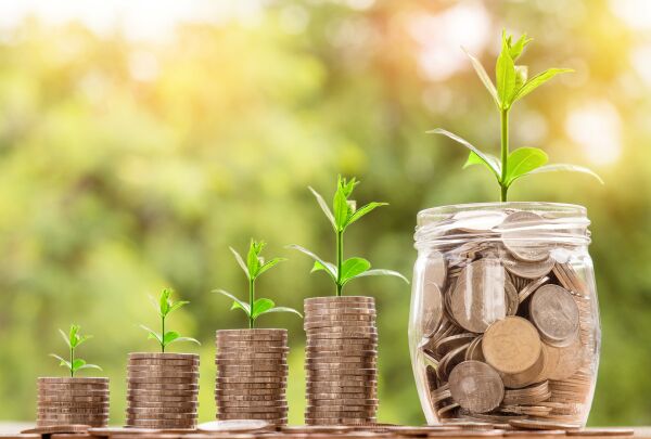 "Ponderea capitalului autohton trebuie să crească în procesul de dezvoltare economică"