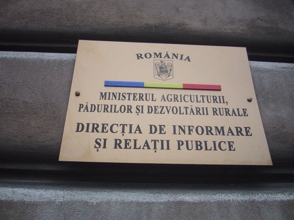 "Producţia de porumb scade cu 9% în acest an"