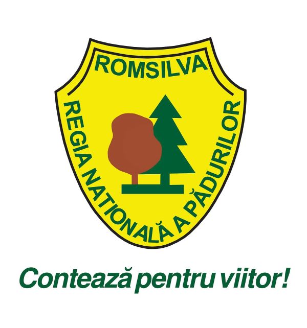 Romsilva a preluat în pază peste 122.000 de hectare de păduri private