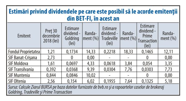 "Sunt şanse bune ca BET-FI să îşi continue creşterea, în 2020"