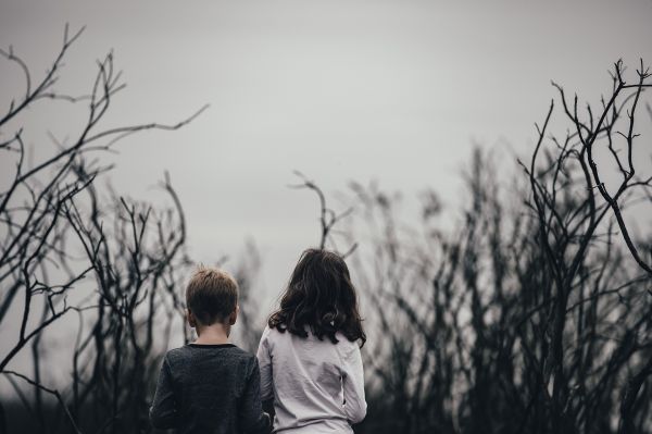 Colaborare între Avocatul Poporului şi UNICEF pentru protejarea drepturilor copiilor
