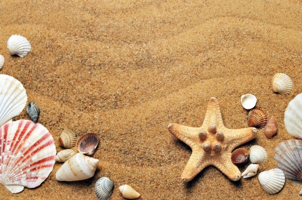 Vacanţele din 2020, cu până la 10% mai ieftine decât în 2019