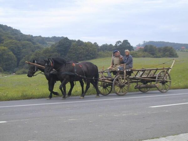 Bani pentru dezvoltarea mediului rural
