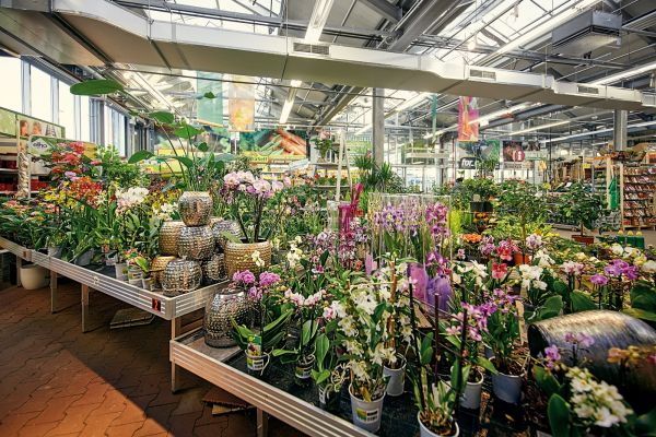 HORNBACH - investiţie de 2,8 milioane euro în extinderea magazinului din Sibiu