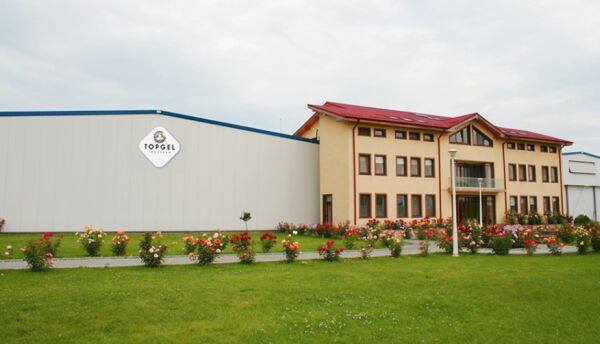 Piaţa producătorilor de îngheţată a crescut cu peste 100%