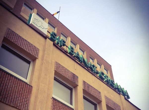 Dividend cu randament de 2% sau răscumpărări de acţiuni