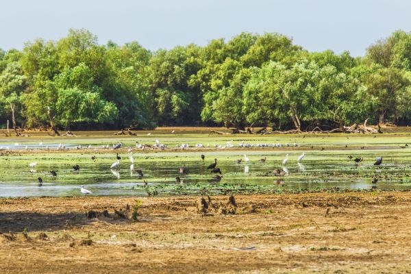 Peste 90% din vacanţele din Delta Dunării au fost amânate