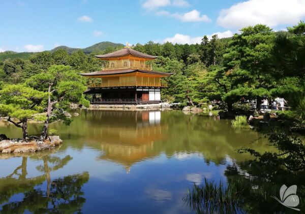 Japonia ia în calcul să acopere jumătate din costul călătoriilor vizitatorilor străini