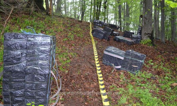 38500 de pachete cu ţigări de contrabandă confiscate la frontiera de nord a României