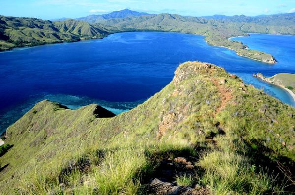 Insula Komodo se redeschide pentru vizitatorii străini de la jumătatea lunii august