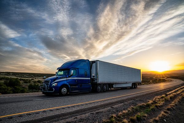 "Termenul cel mai des întâlnit la nivelul companiilor de transport autohtone este supravieţuirea"