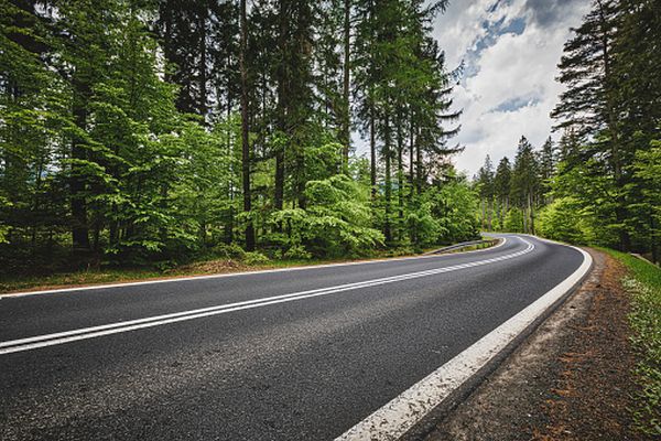 Legea PSD care dezincriminează construcţia fără autorizaţie de microhidrocentrale sau drumuri forestiere a fost promulgată
