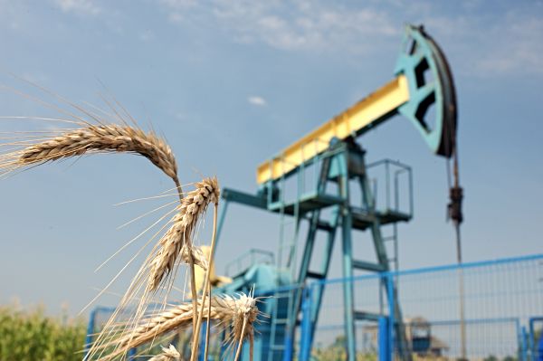"Riscurile asupra dinamicii economice sunt preponderent de natură externă"