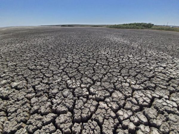 Lacul Nuntaşi a secat în totalitate