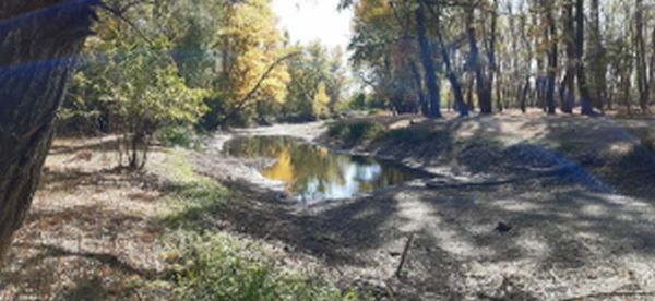 După Constanţa, şi Vrancea "pierde" un râu din cauza secetei