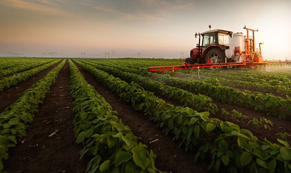 România nu este de acord cu stabilirea unui procent obligatoriu pentru eco-scheme în noua Politică Agricolă Comună