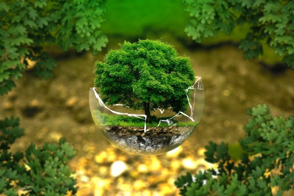 "Green Deal reprezintă o oportunitate imensă şi mecanismul cel mai potrivit pentru redresarea economiei europene"