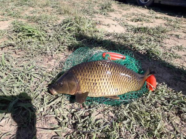Pescarul profesionist solicită o taxă pentru cel sportiv
